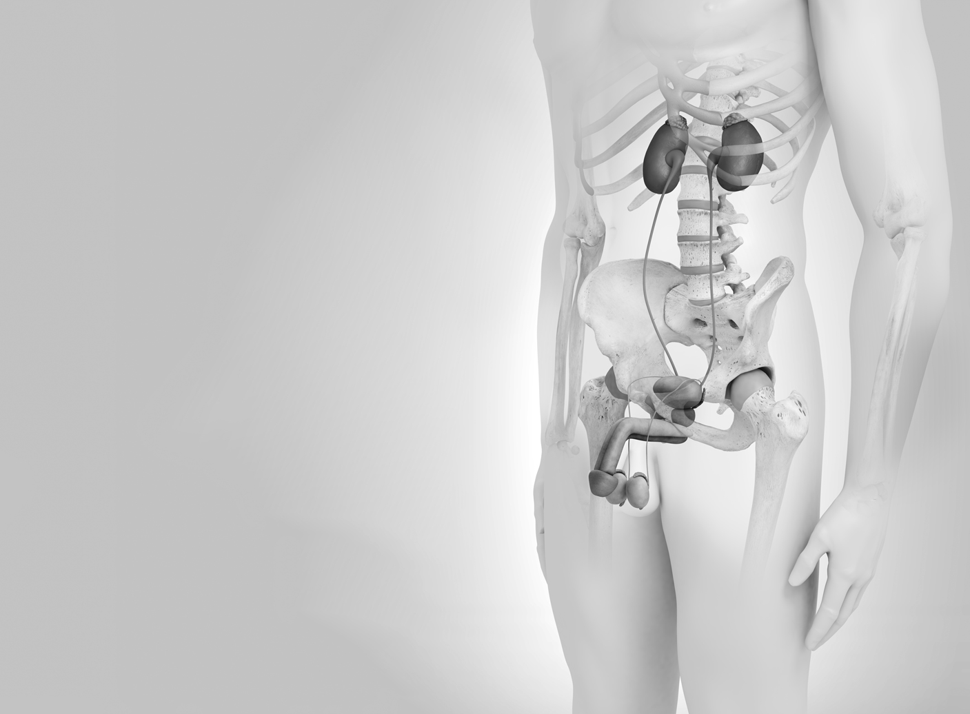 Urologia