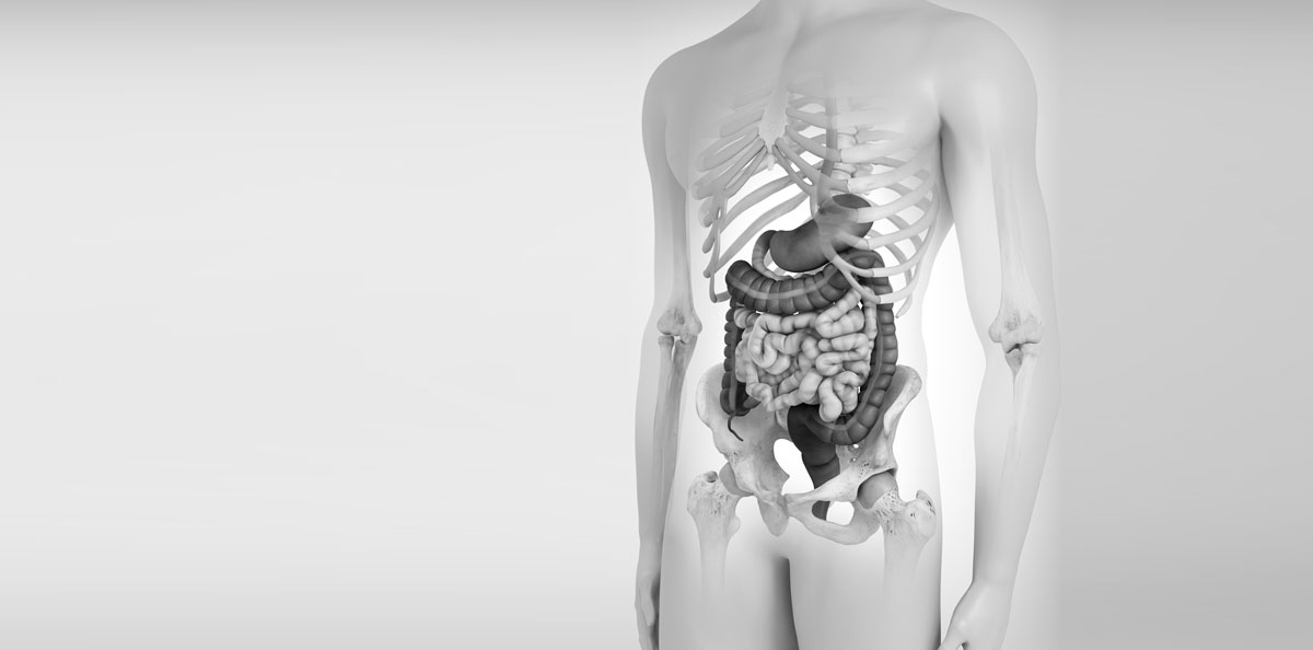 Gastroenterologia